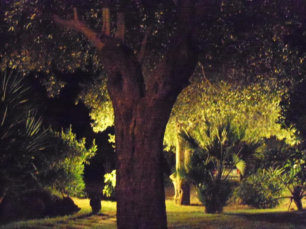Gli Ulivi Leilighet Alghero Rom bilde